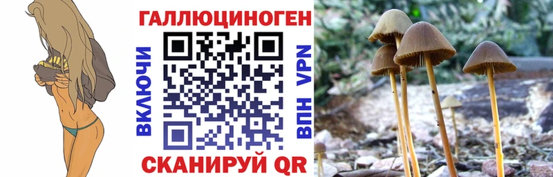 хочу наркоту  Прохладный  Галлюциногенные грибы Magic Shrooms 